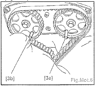 Distribution