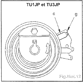 Distribution